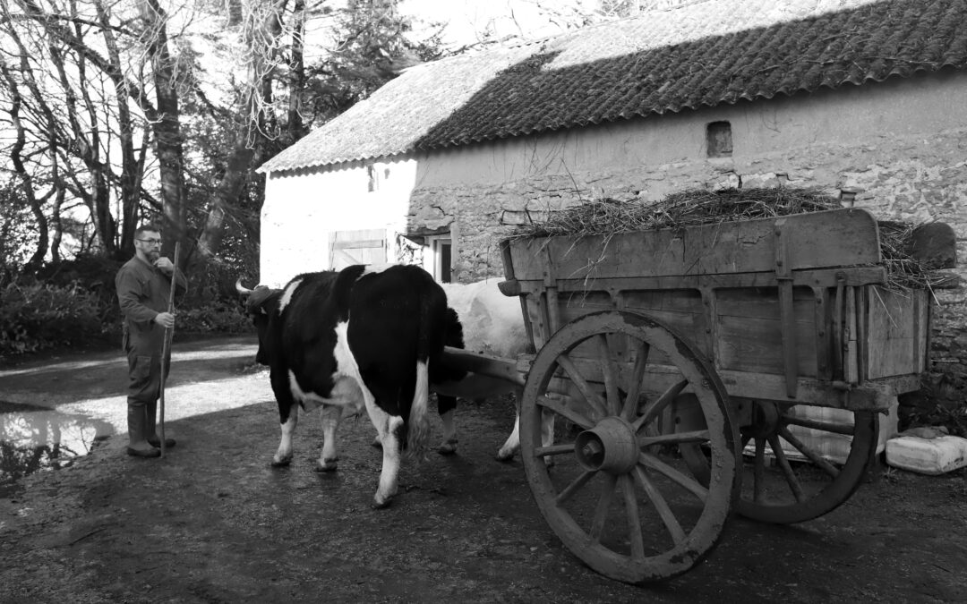 Les coulisses du projet « La vie à la ferme »